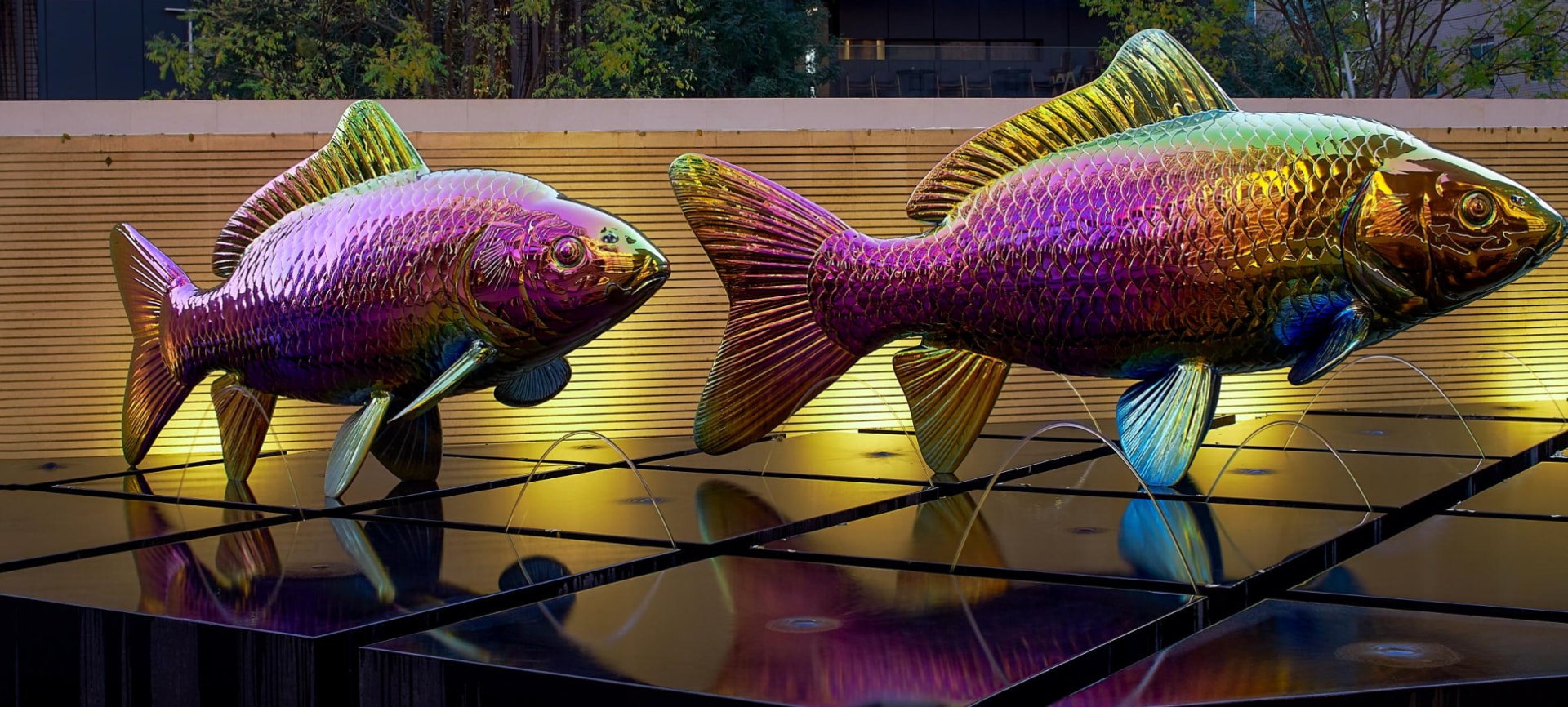 Very Large Scale Fish Design Koi - Odedevote