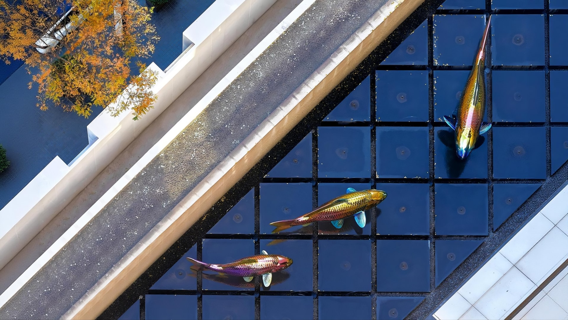 Very Large Scale Fish Design Koi - Odedevote