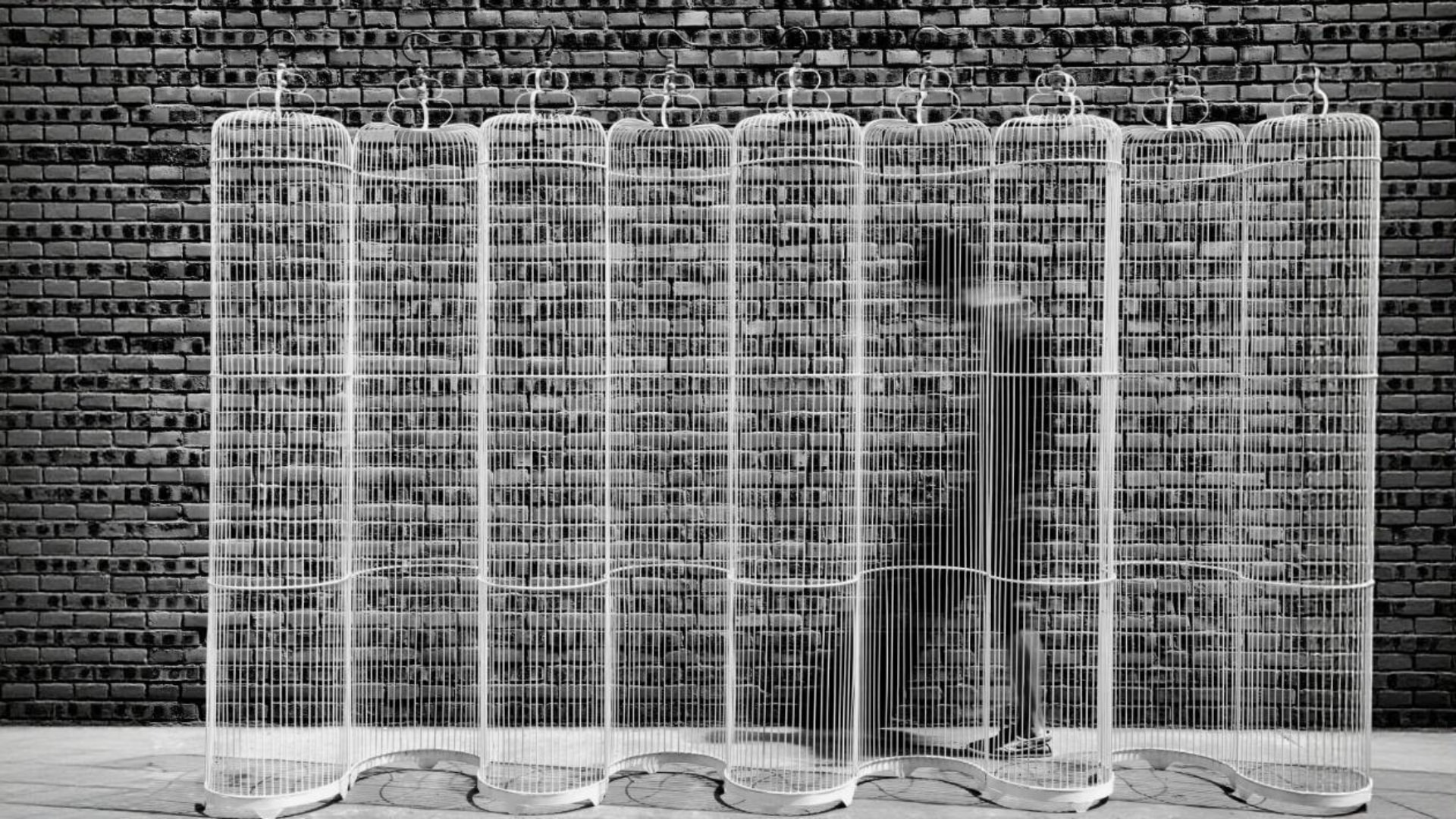 jimeng-2026-03-01-2545-tuya